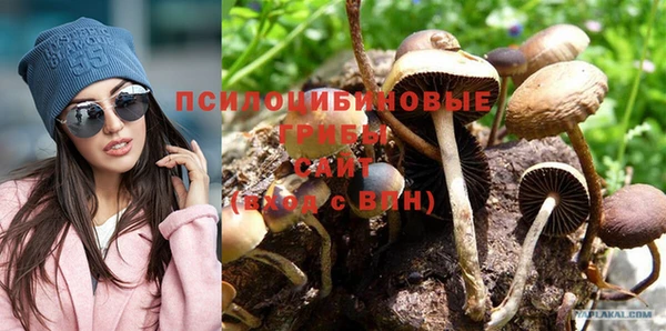 бошки Беломорск