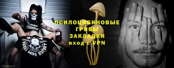 кокс Белокуриха