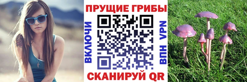 даркнет сайт  Нестеров  Псилоцибиновые грибы прущие грибы 